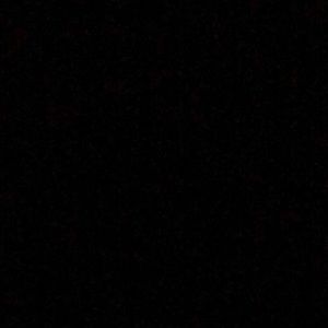 Meet your Posher, Shane